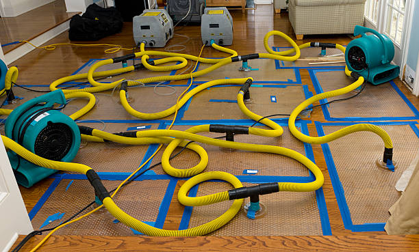 Professional Sewage Cleanup technician working in Henderson, NC